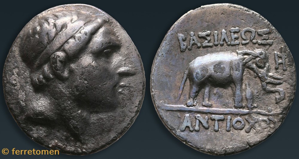 Antiochos III | 212 BCE | Diadem/Elephant coins ancient to greek antiochos iii 212 bce diadem elephant