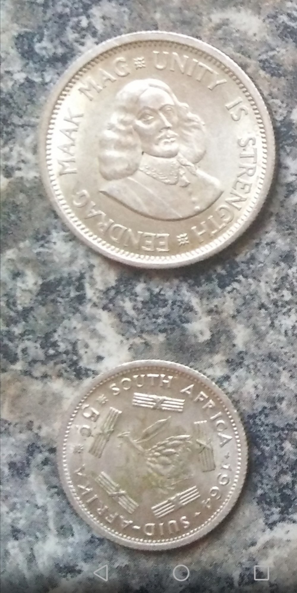 nft img 20250511 211727