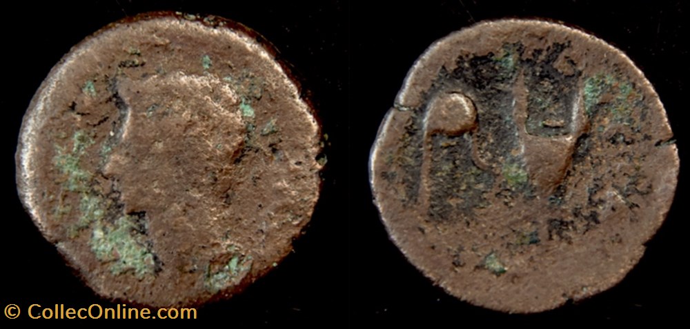 monnaie antique av jc ap romaine provinciale hispanie baetica colonia patricia augustus semis