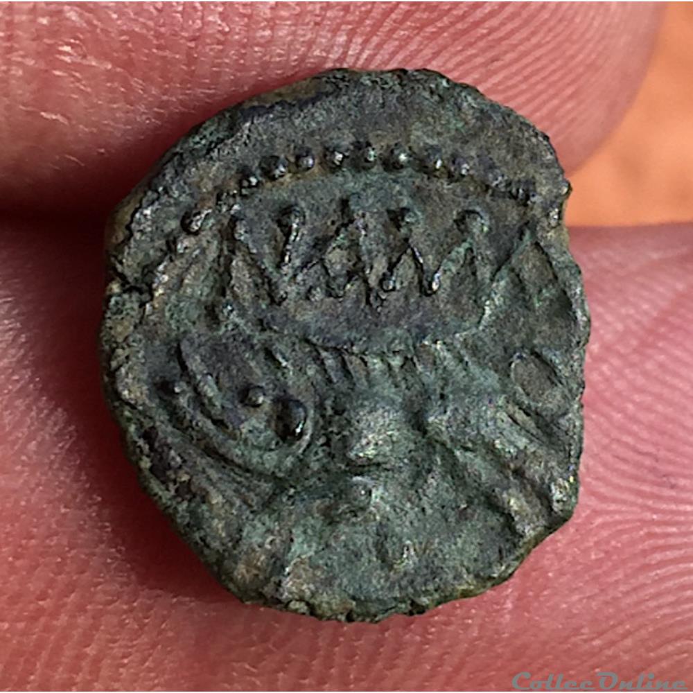 monnaie antique jc ap gauloise bronze au sanglier nama sat nemausus nimes iie ier siecles avant j c