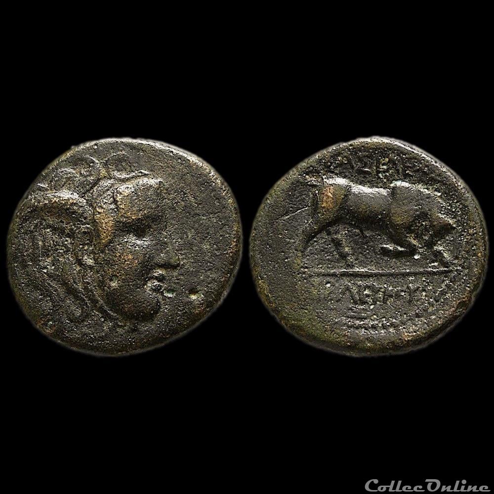Séleucos I Nikatôr (305 - 280 av. JC) monnaie antique grecque seleucos i nikator 305 280 av jc