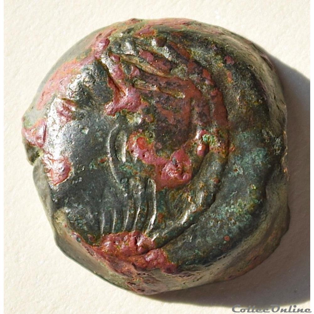 CARNUTES (Région de la Beauce) Bronze lourd à l’aigle et au croissant monnaies antiquite av jc ap gauloises carnutes region de la beauce bronze lourd a l aigle et au croissant