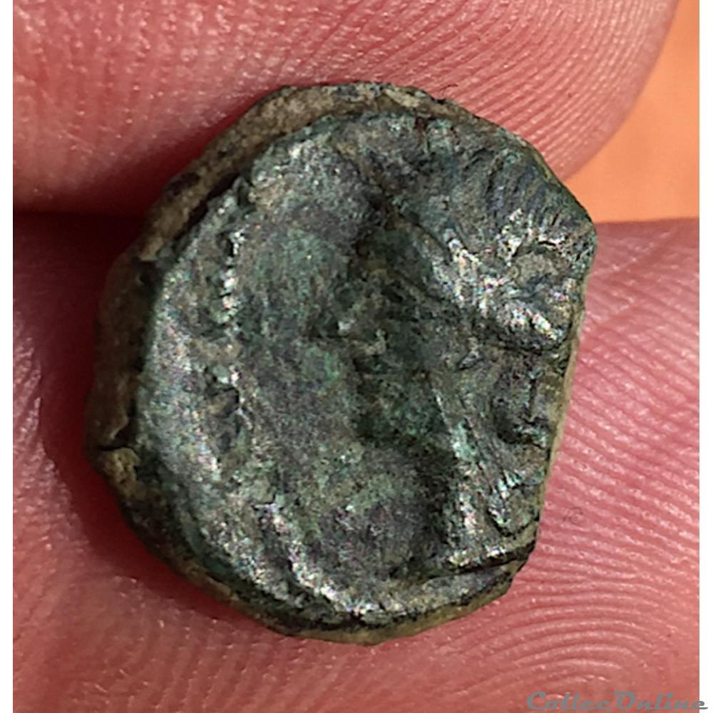 monnaie antique jc ap gauloise bronze au sanglier nama sat nemausus nimes iie ier siecles avant j c