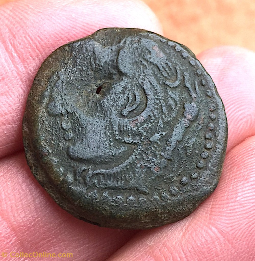 GADIR / GADES, Chalque de bronze à la tête de Melqart et au thon Ier siècle avant J.-C 5 monnaies antiquite jc ap grecques gadir gades chalque de bronze a la tete de melqart et au thon ier siecle avant j c