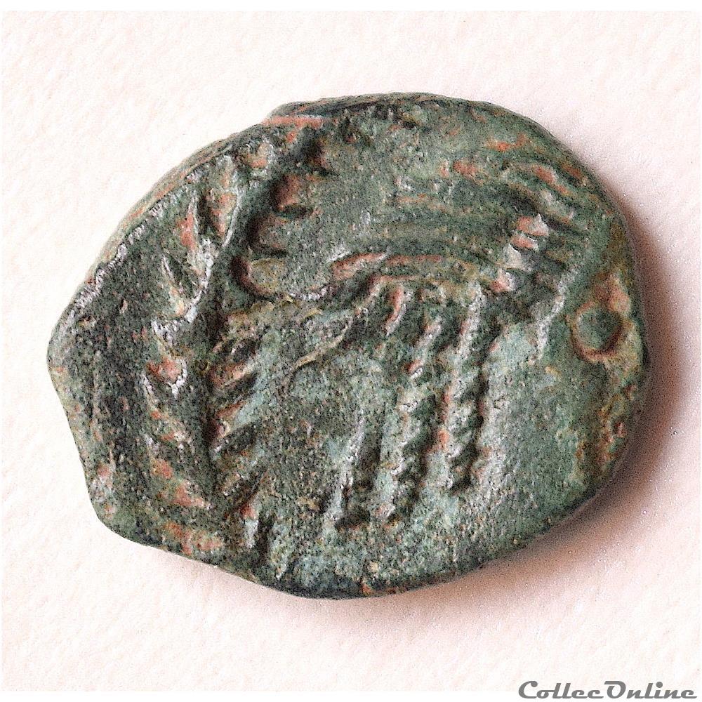 CABELLIO - CAVAILLON "Imitation" du Bronze COL/CABE (semis) 40 - 23 av. J.-C. 4 monnaie antique gauloise cabellio cavaillon imitation du bronze col cabe semis 40 23 av j c