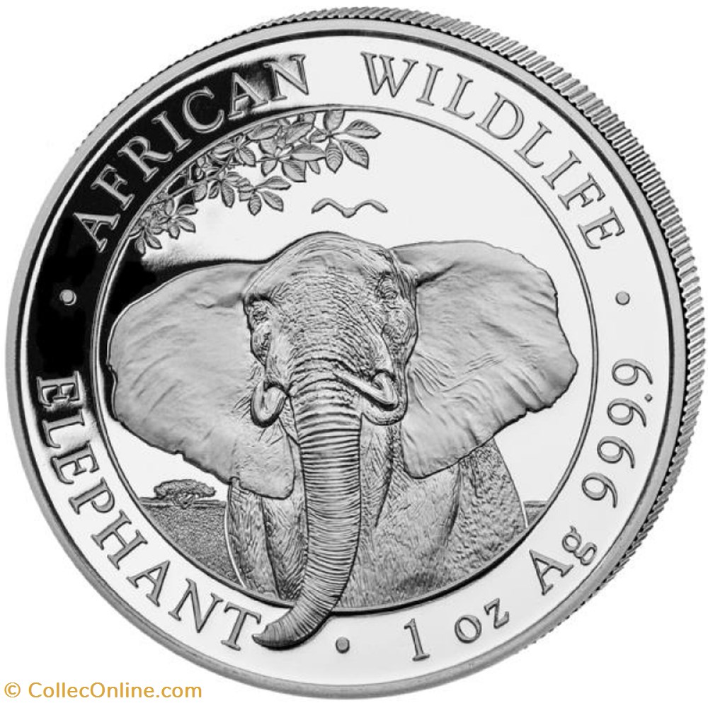 monnaie 2021 african widlife elephant