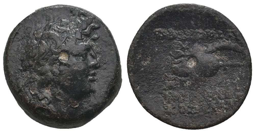 GCV 7089 Seleukid Kingdom, Tryphon (142-138 BC) AE17 coins ancient to greek gcv 7089 seleukid kingdom tryphon 142 138 bc ae17