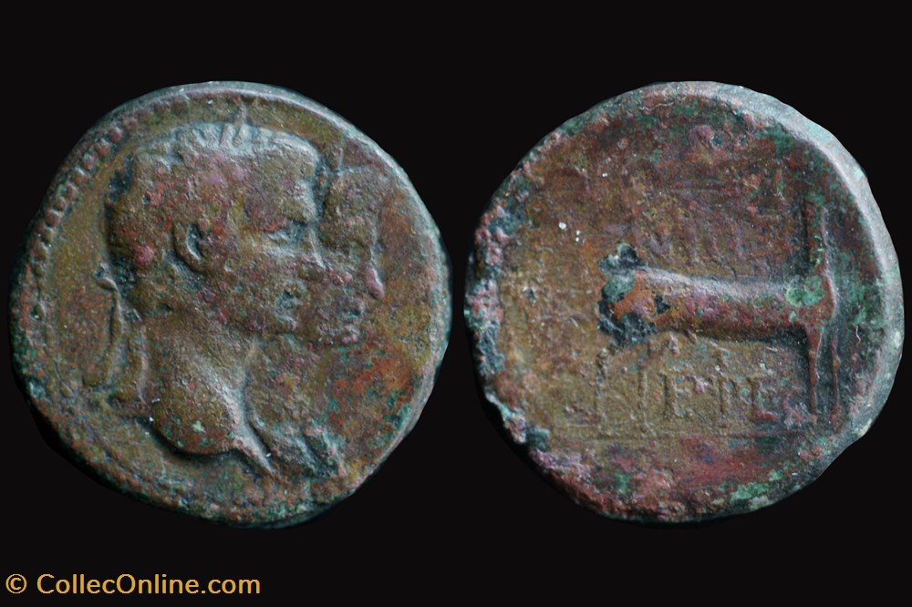 RPC I 2624 Claudius and Agrippina, AE21 Ephesus, Ionia coin ancient b to roman provincial rpc i 2624 claudius and agrippina ae21 ephesus ionia