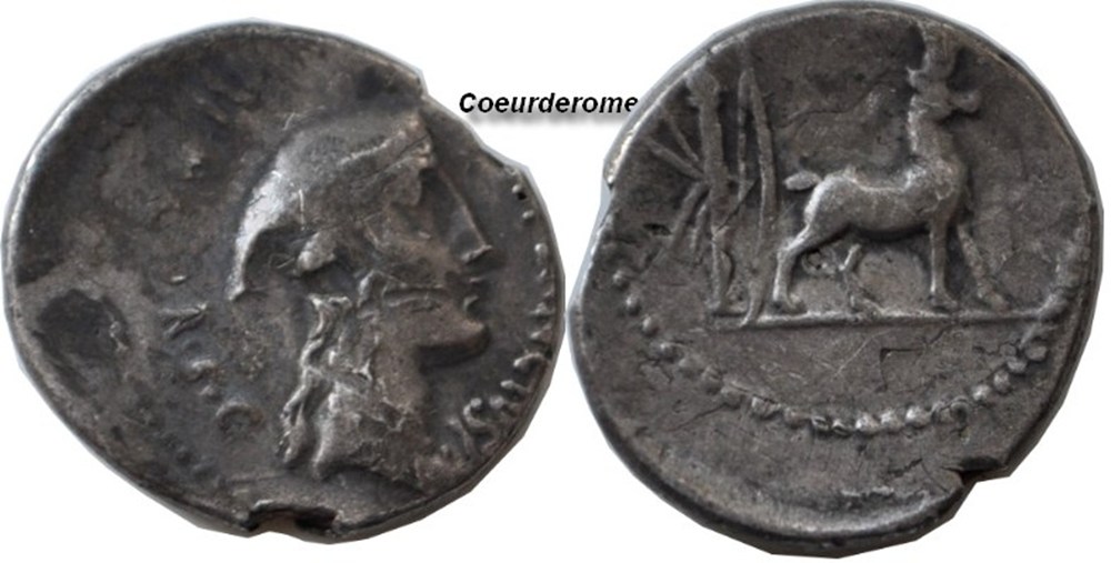 monnaies antiques romaines imperiales et republicaines denier de la republique romaine plancia