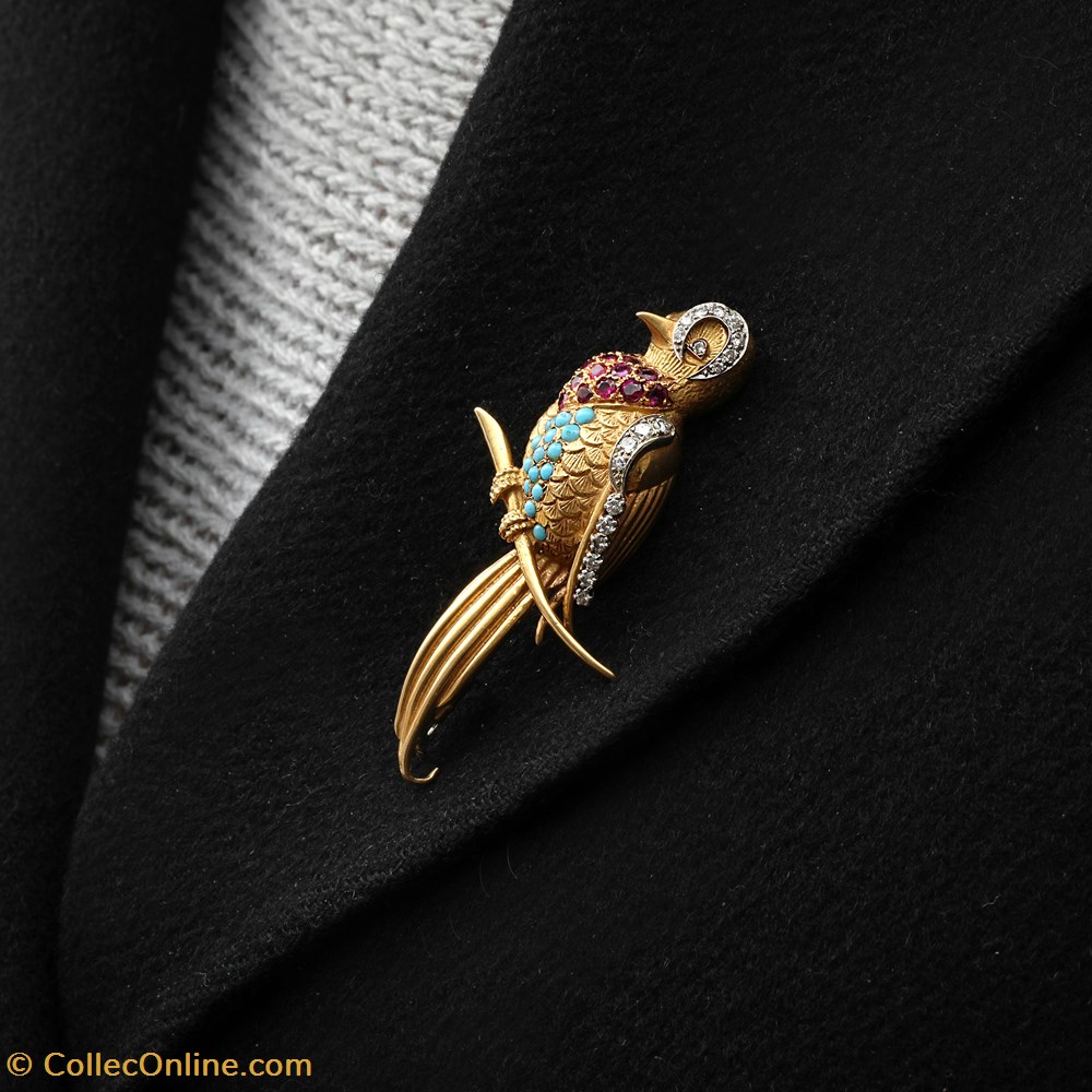bijoux horlogerie de poitrine macaw on a branch