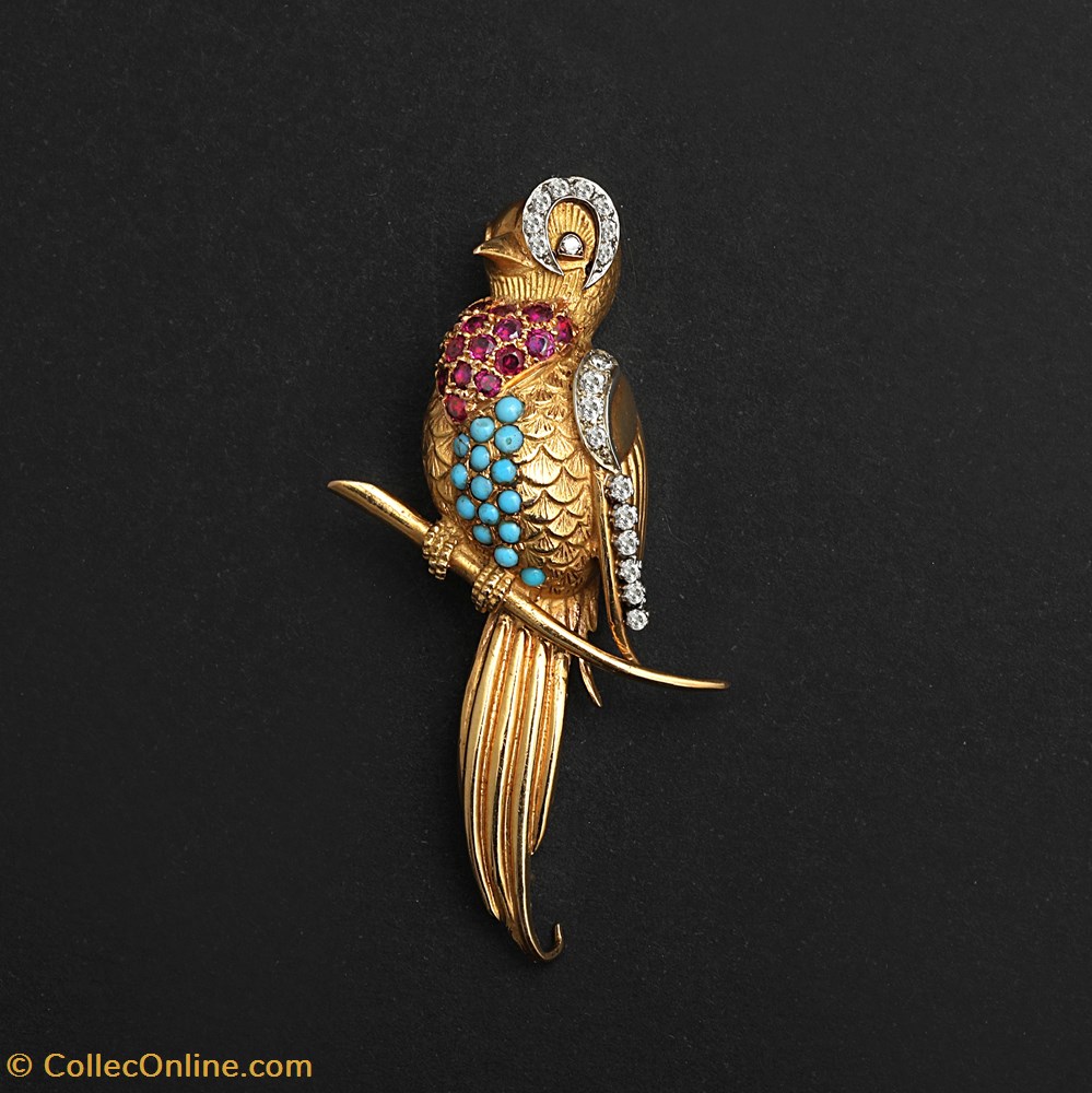 bijoux horlogerie de poitrine macaw on a branch