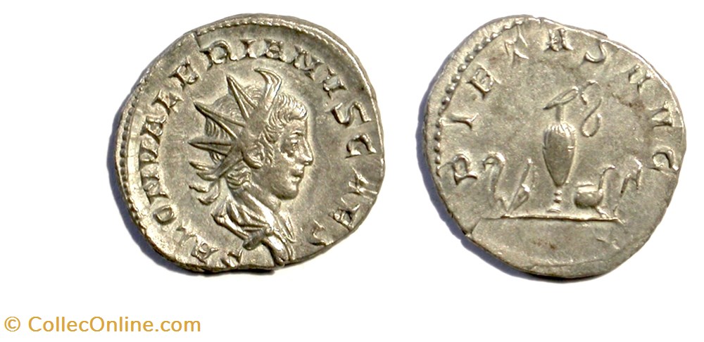 munzen antike bis romische imperial und republik cologne saloninus pietas avg