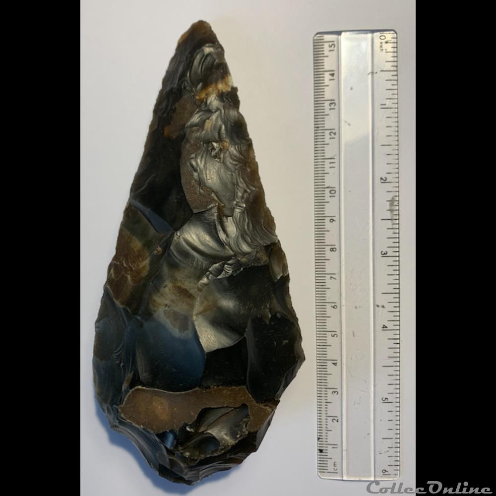 muschel fossilien acheulean flint hand axe biface oxfordshire