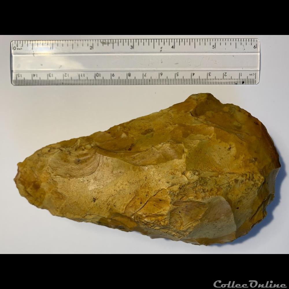 muschel fossilien acheulean flint hand axe biface england