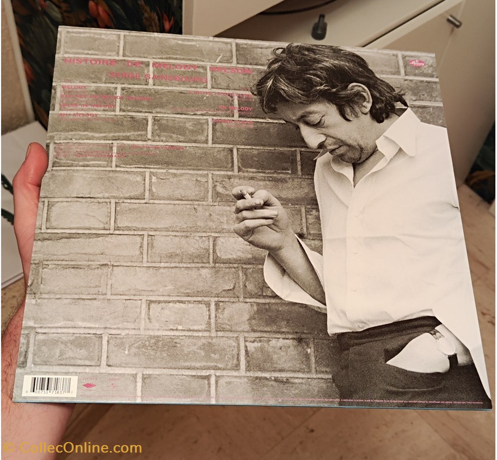 Serge Gainsbourg - Histoire de Melody Nelson 2 musique instruments disques vinyles disque tours serge gainsbourg histoire de melody nelson