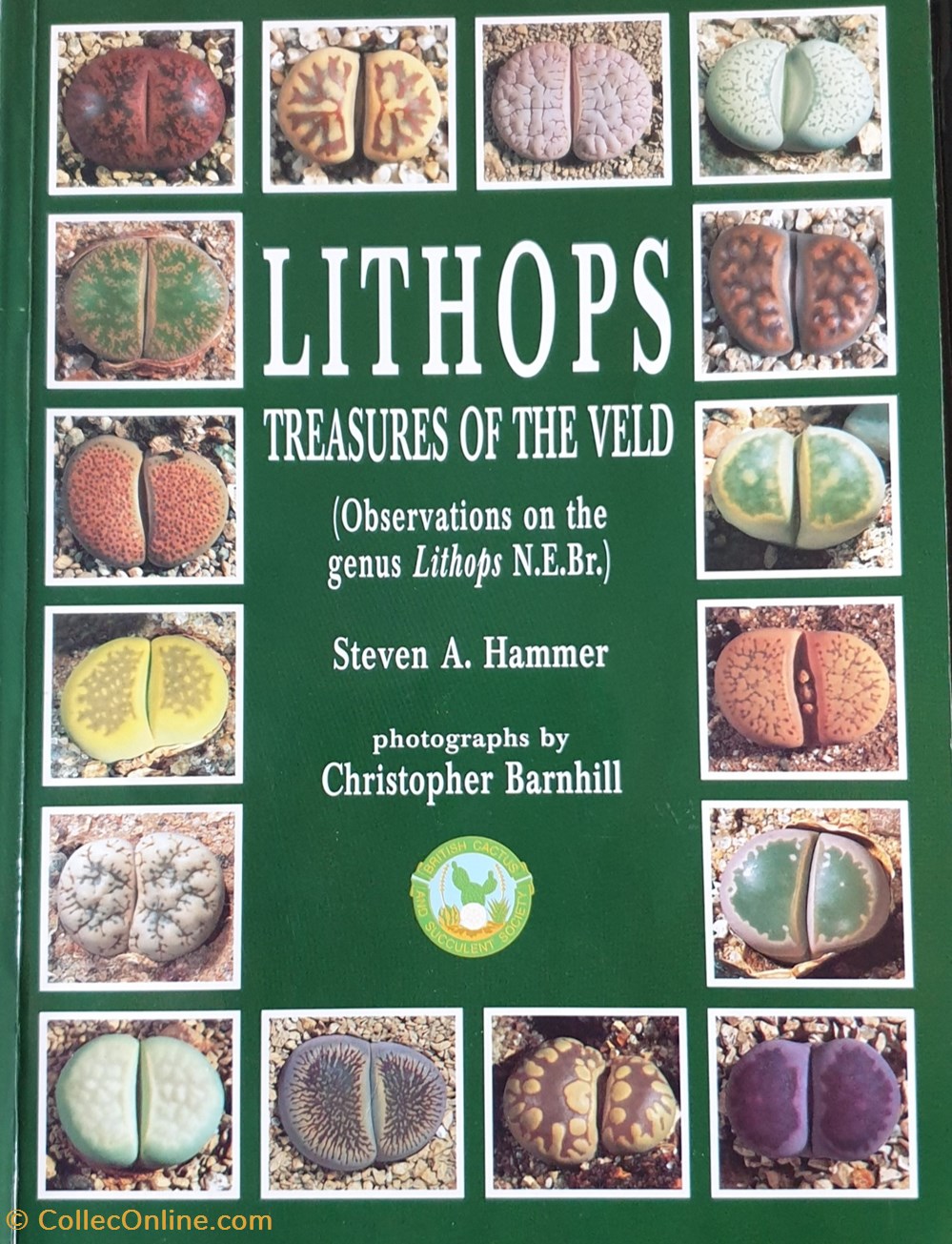 Lithops . Treasures if the veld livres bd revues lithops treasures if the veld