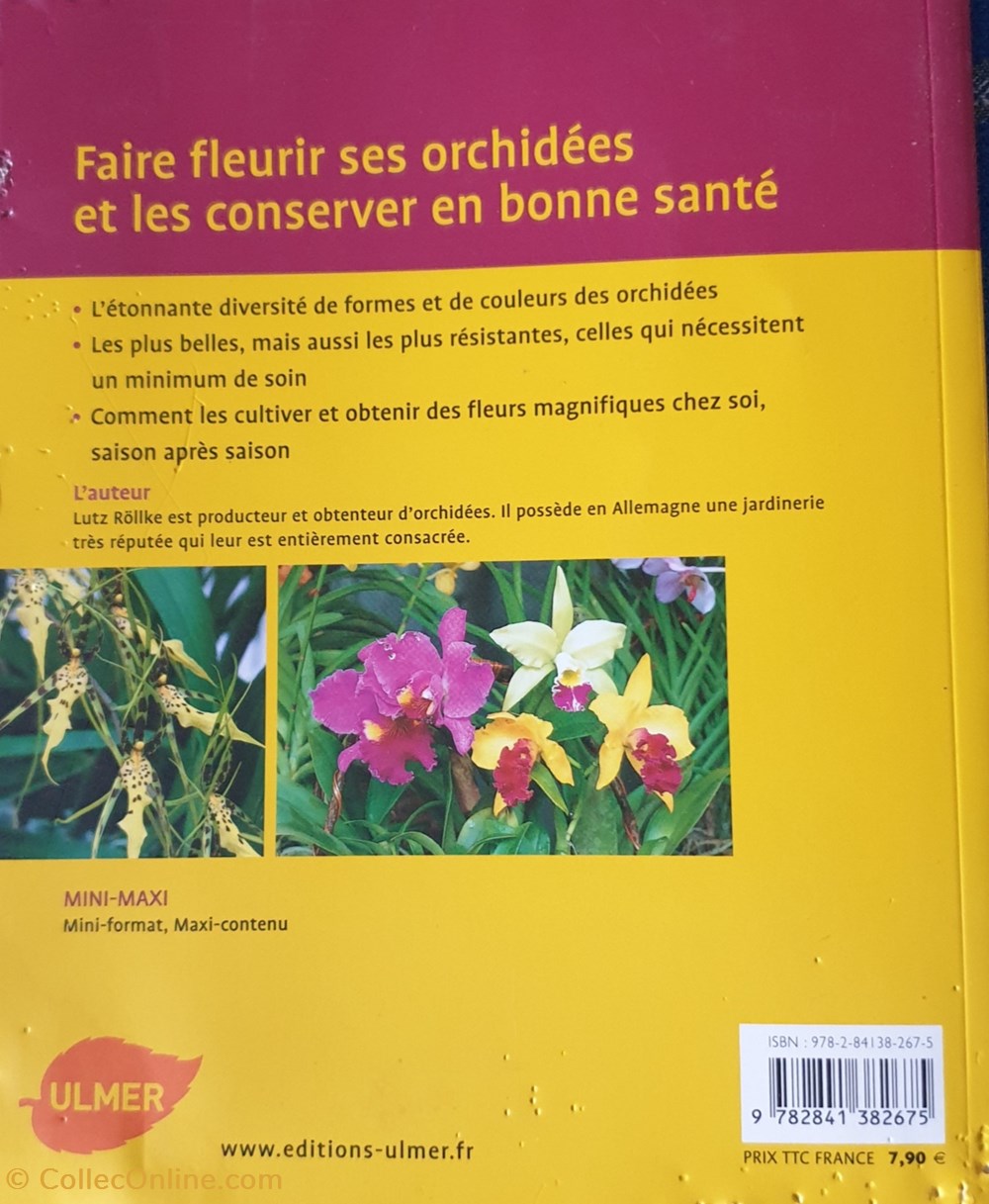 Orchidée. Coloré. Exotique. Facile livres bd revues orchidee colore exotique facile
