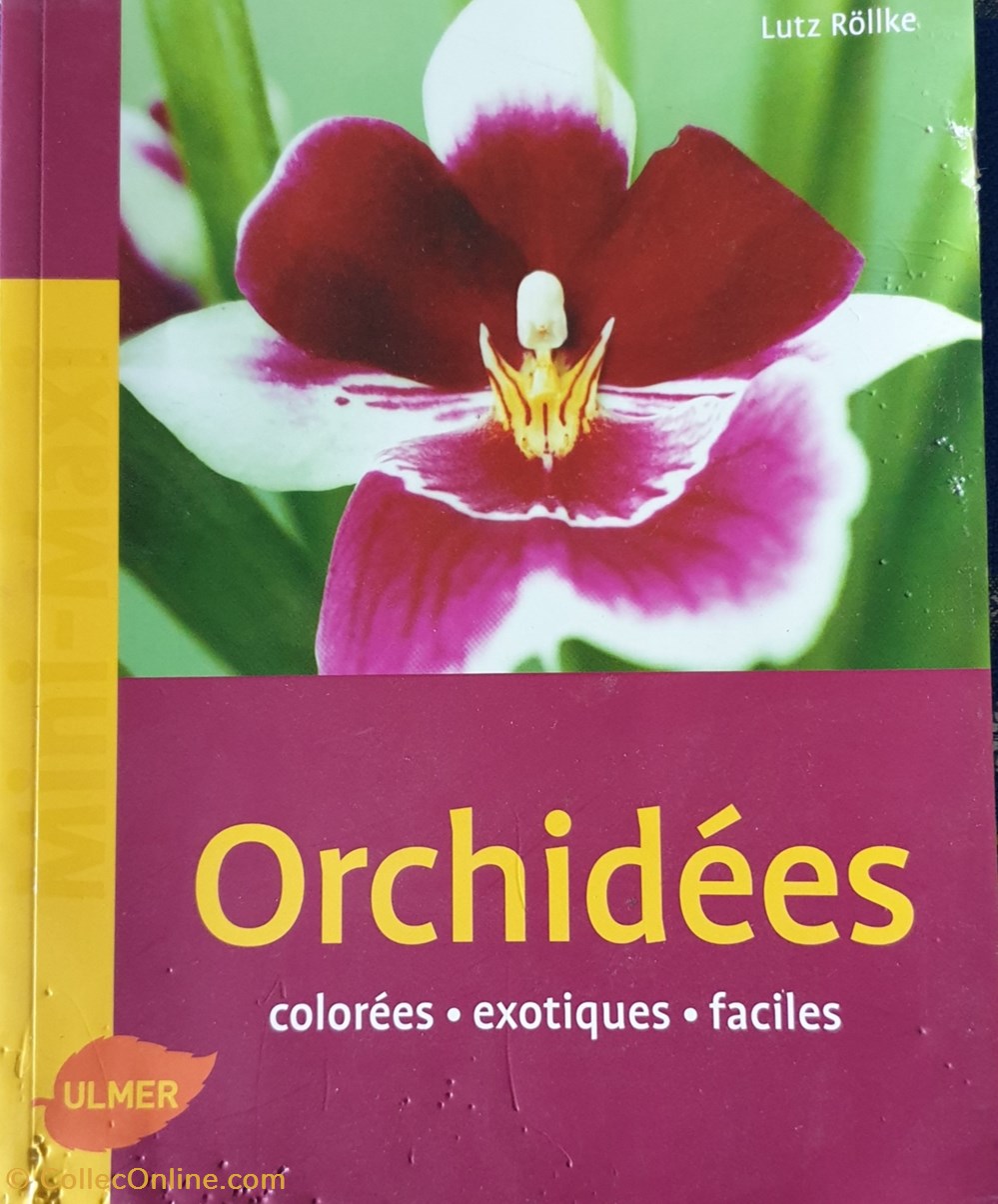 Orchidée. Coloré. Exotique. Facile livres bd revues orchidee colore exotique facile