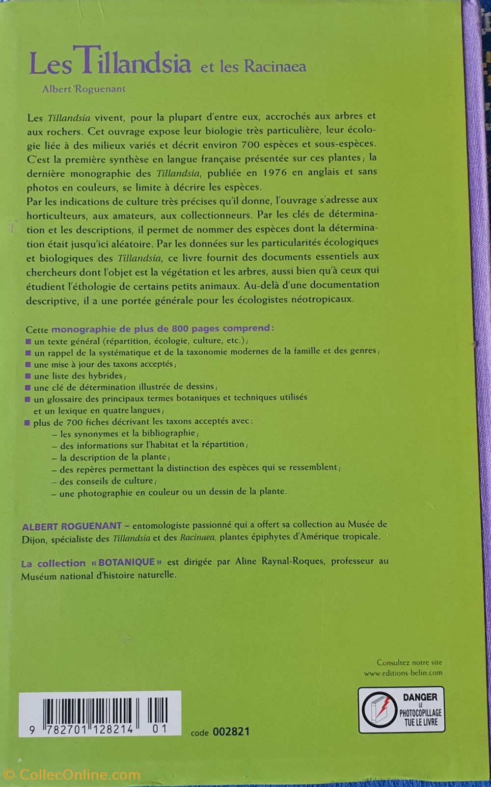 Les Tillandsia et les racinaea monde du vivant plantes cactus succulentes les tillandsia et les racinaea