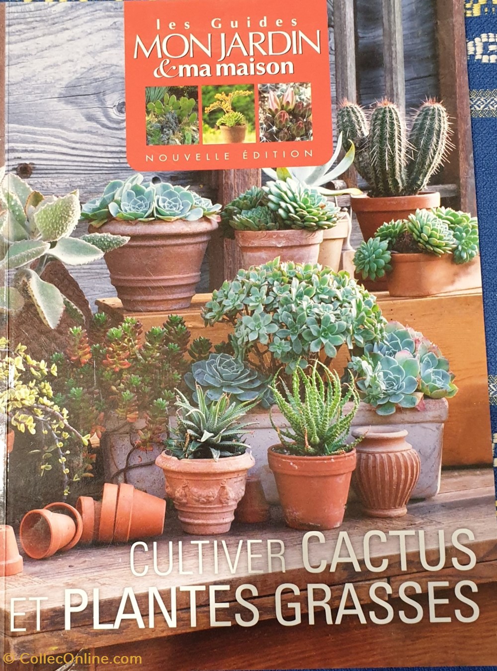 livres bd revues cultiver cactus et plantes grasses