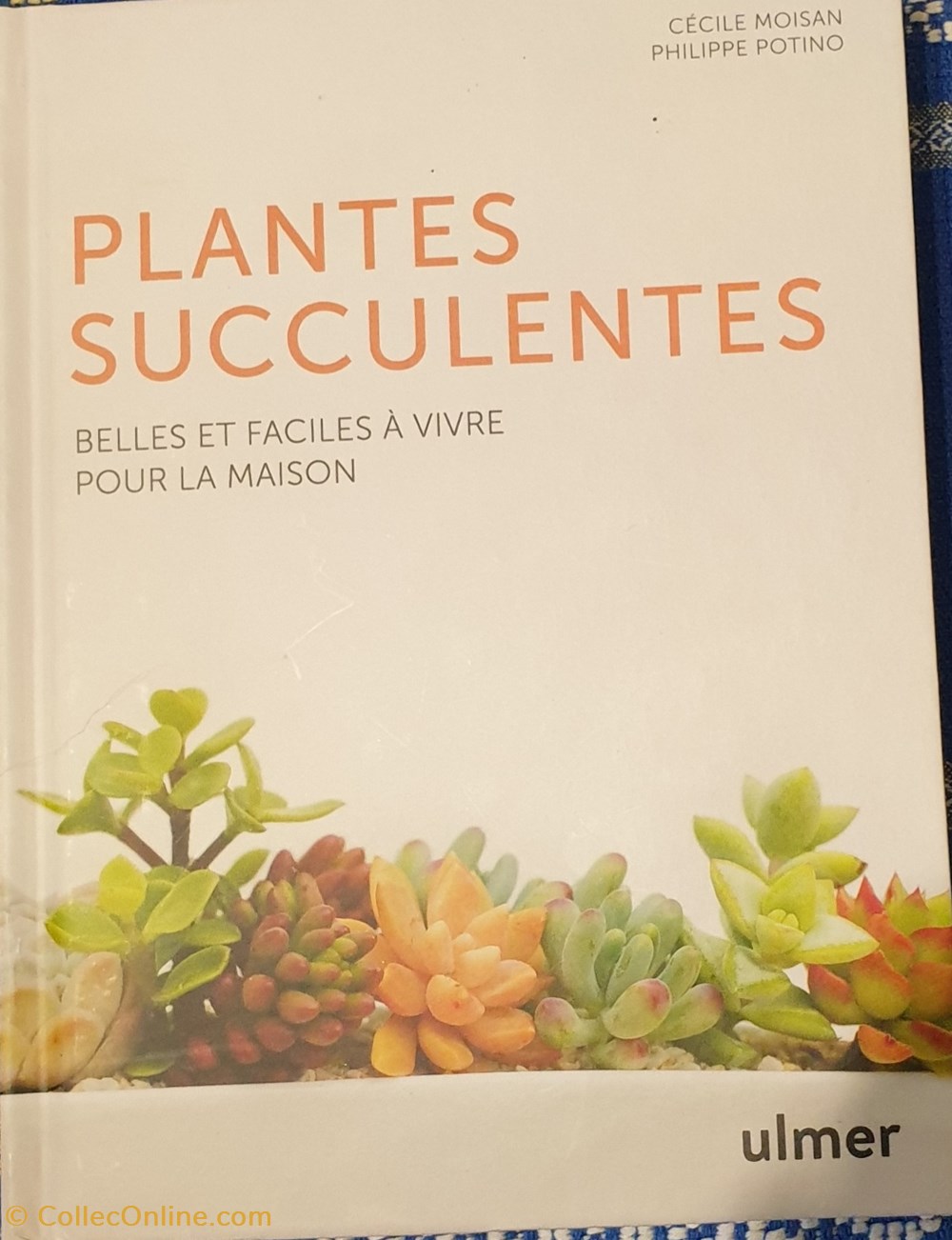 Plantes succulentes belles et facile à vivre pour la maison livres bd revues plantes succulentes belles et facile a vivre pour la maison