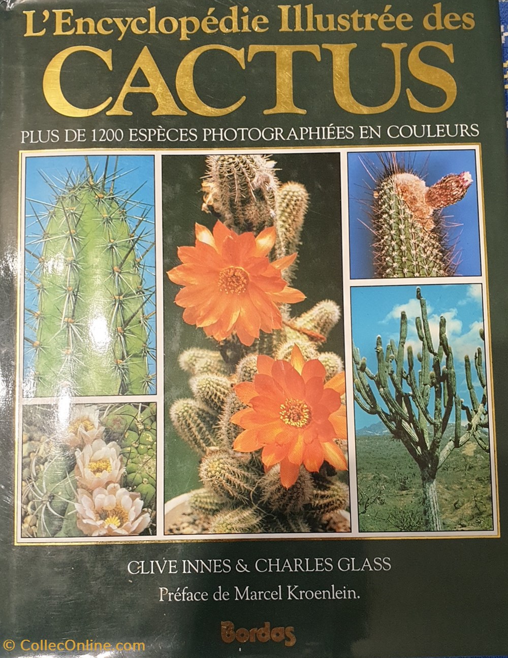 Encyclopédie illustrée des cactus livres bd revues encyclopedie illustree des cactus