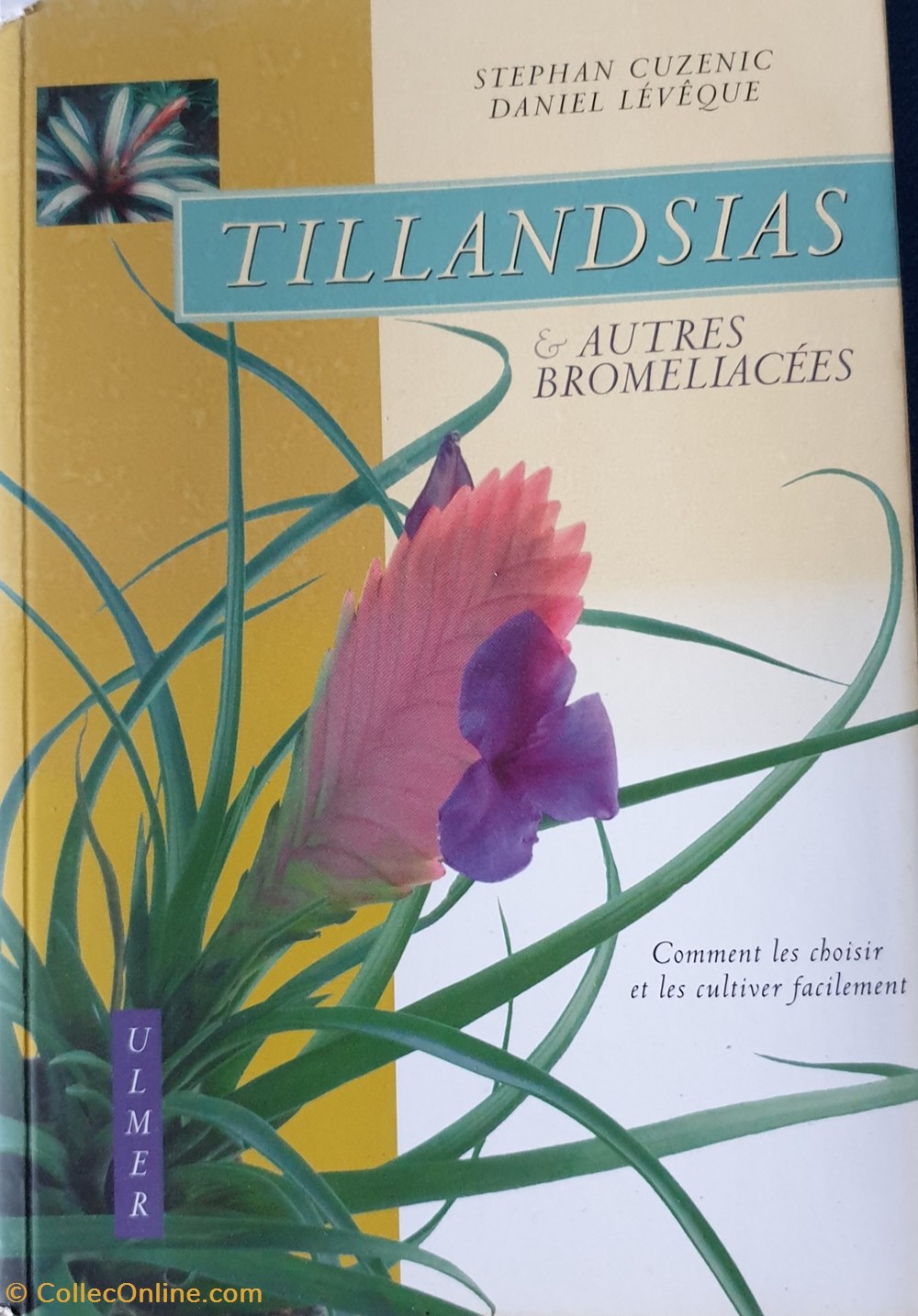 livres bd revues tillandsias et autres bromeliacees