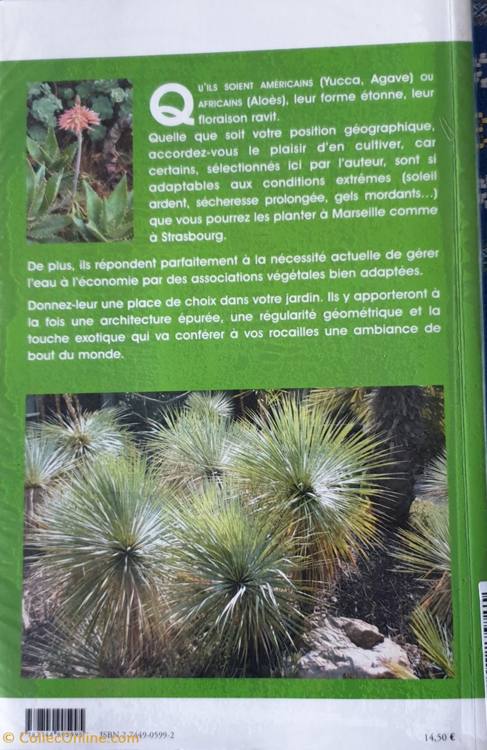 Les yuccas, agave et aloes livres bd revues les yuccas agave et aloes