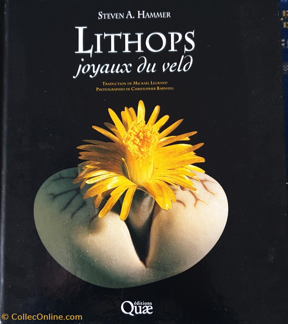 Lithops. Joyaux du Veld livres bd revues lithops joyaux du veld