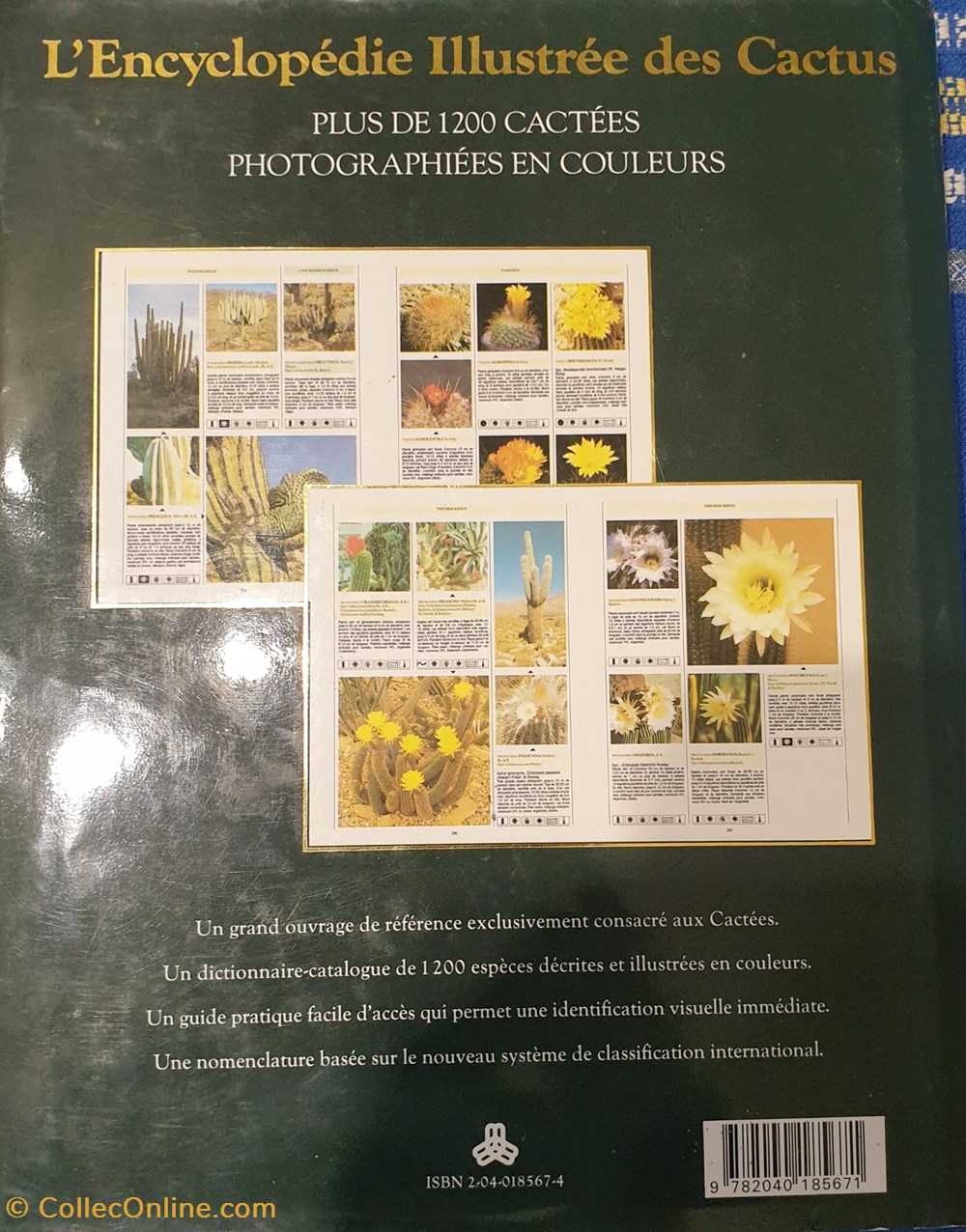 Encyclopédie illustrée des cactus livres bd revues encyclopedie illustree des cactus