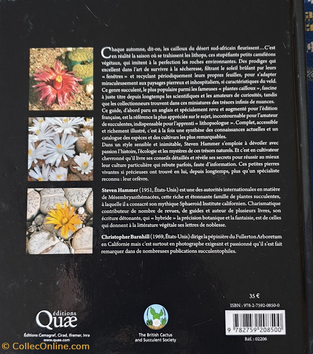 Lithops. Joyaux du Veld livres bd revues lithops joyaux du veld