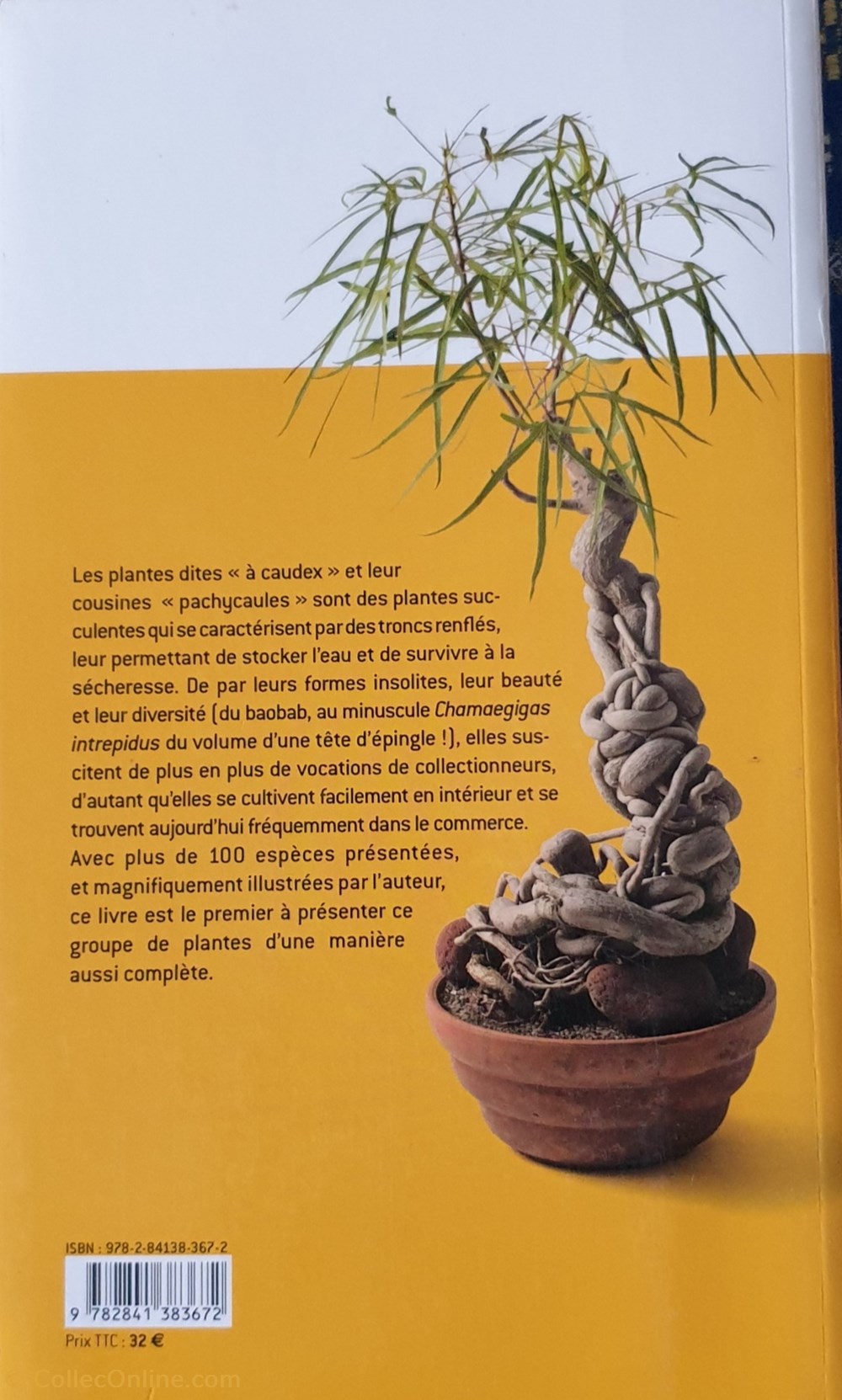 Plantes à caudex de a à z livres bd revues plantes a caudex de a a z