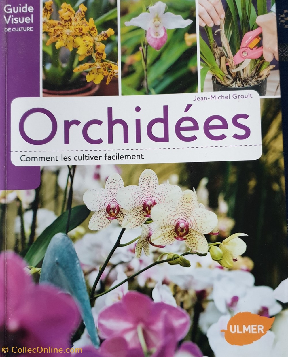 Orchidées. Comment les cultiver facilement livres bd revues orchidees comment les cultiver facilement