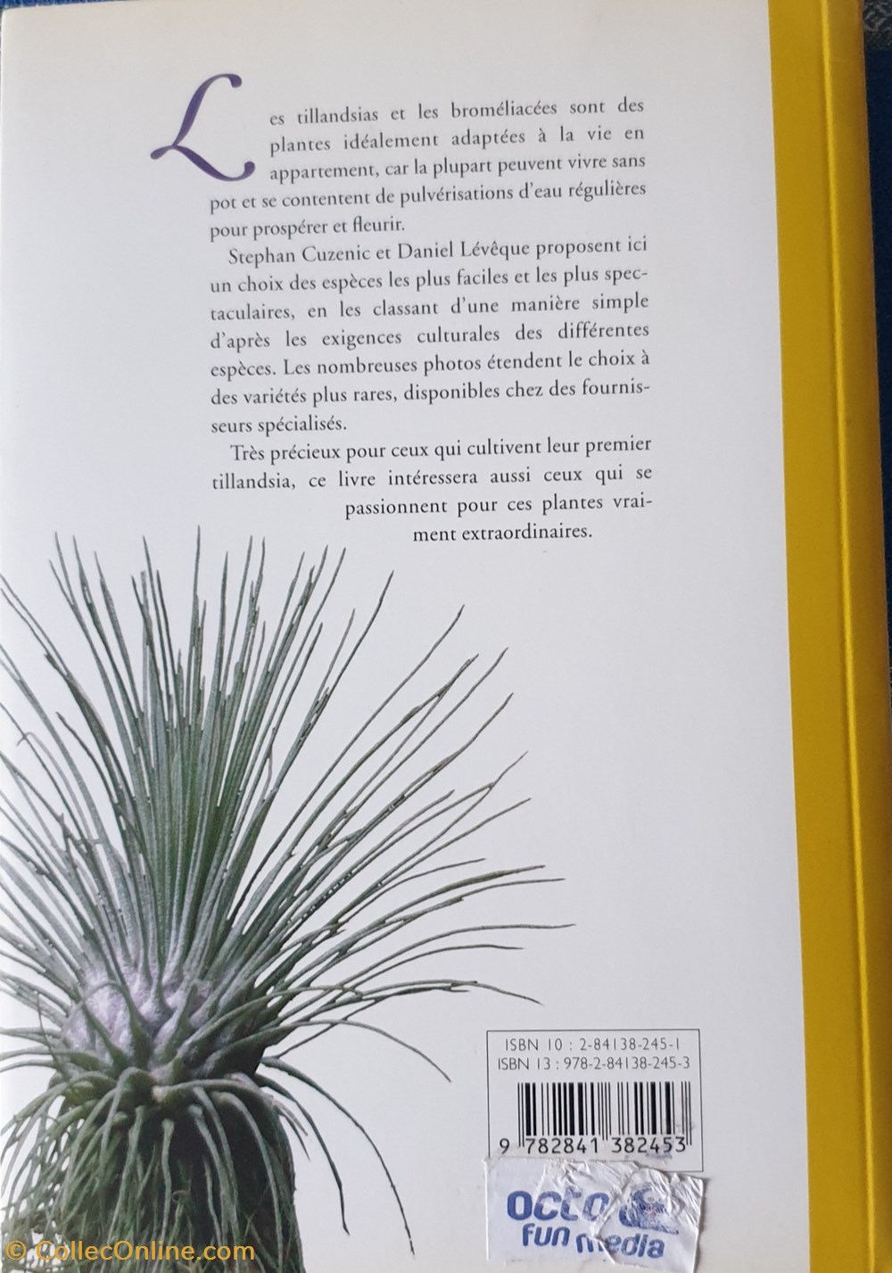 livres bd revues tillandsias et autres bromeliacees