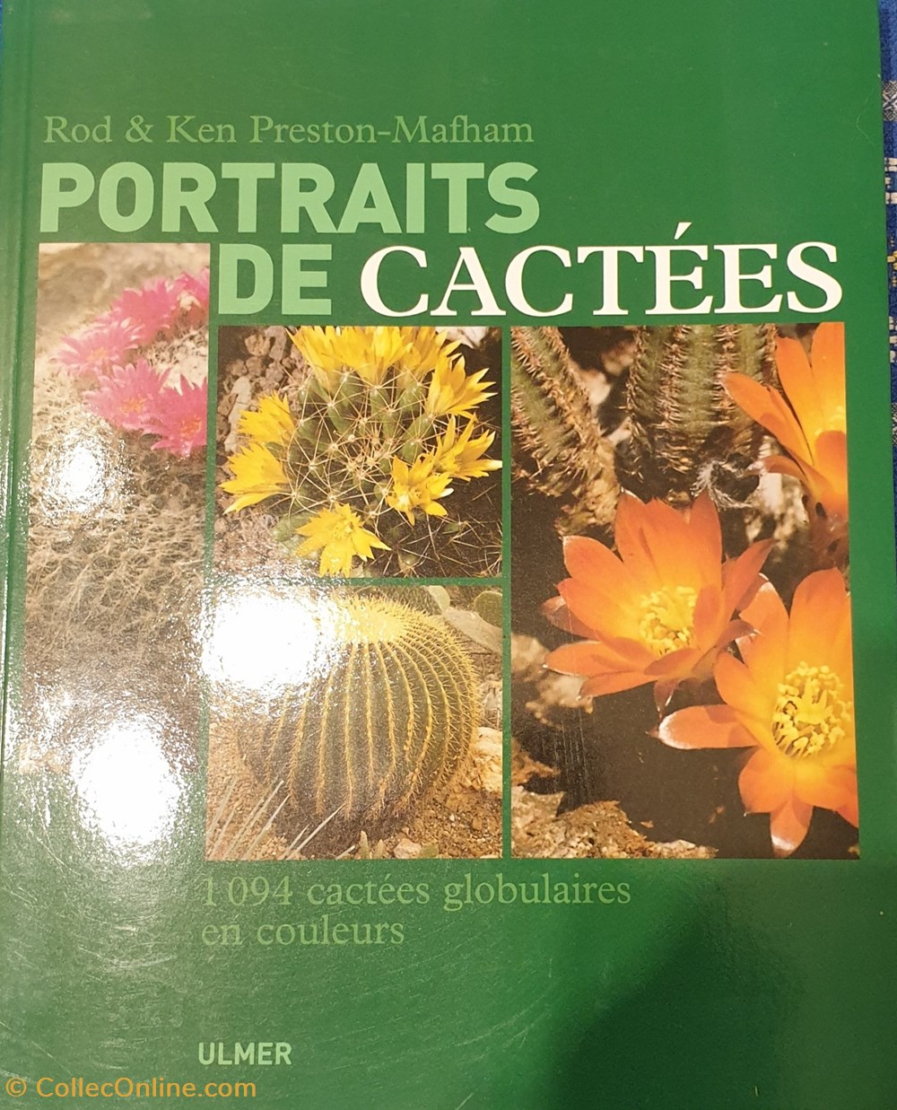 Portrait de cactées livres bd revues portrait de cactees