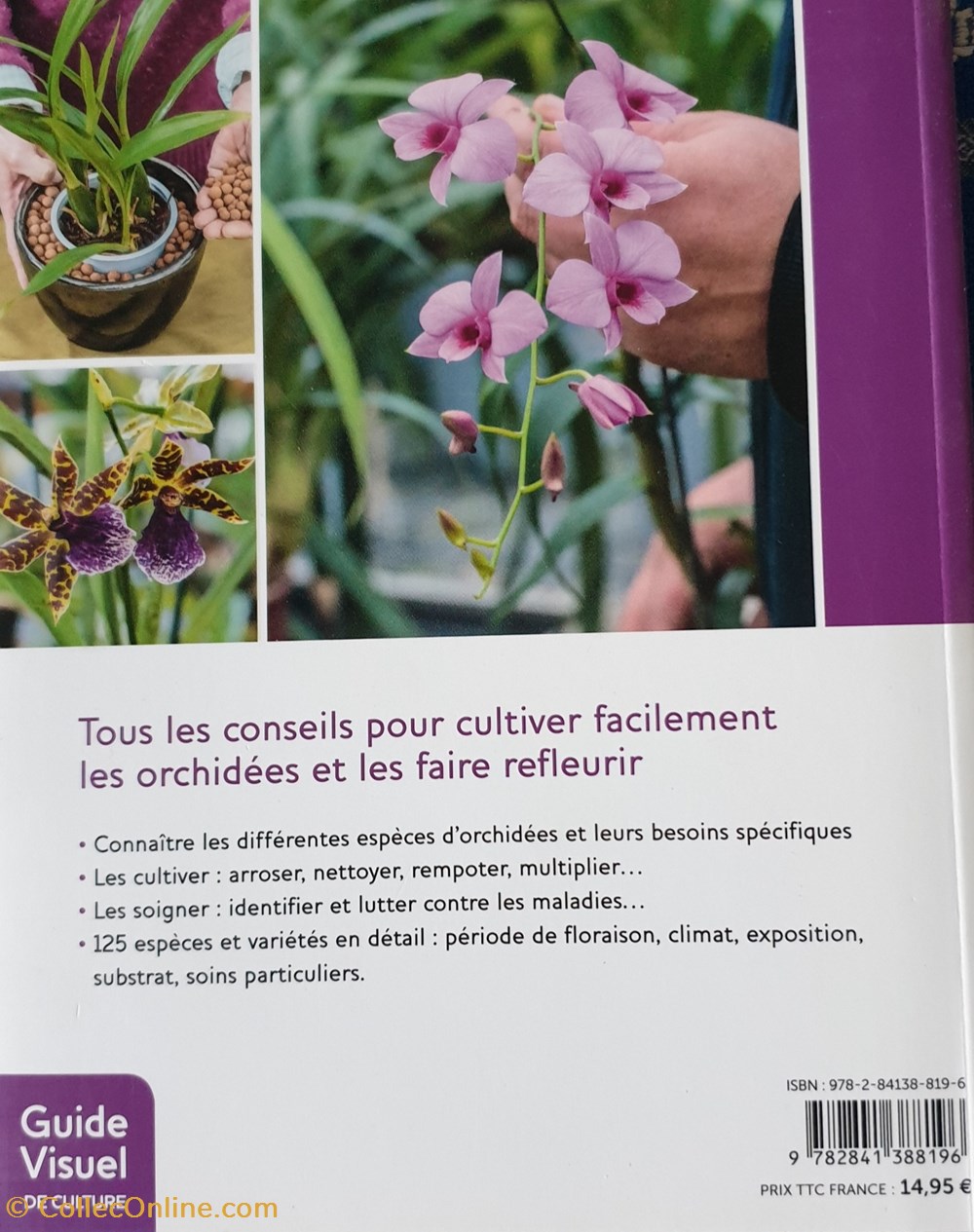 Orchidées. Comment les cultiver facilement livres bd revues orchidees comment les cultiver facilement