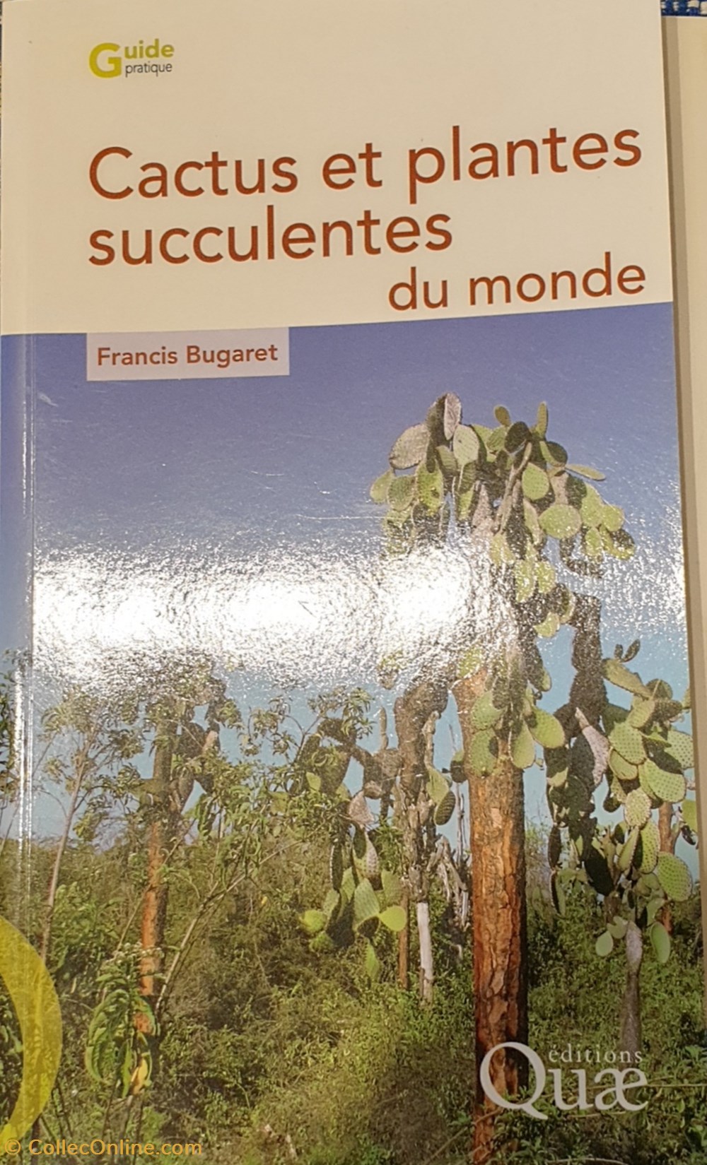 Cactus et plantes succulentes du monde vivant cactus et plantes succulentes du monde