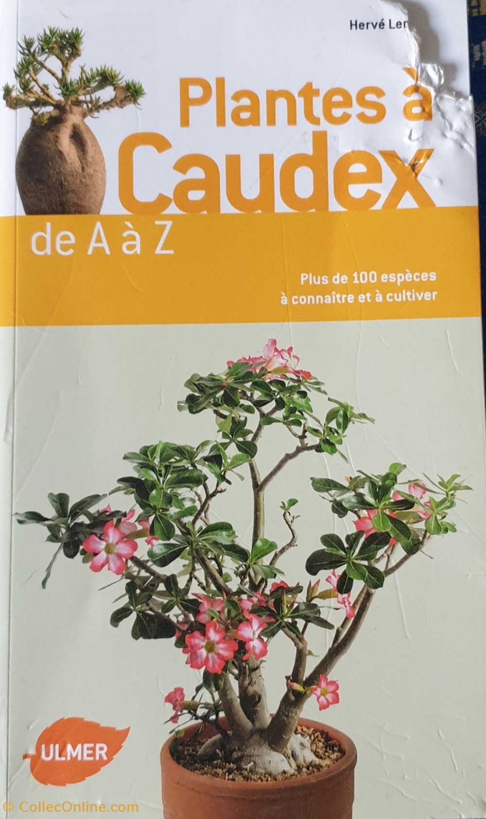 Plantes à caudex de a à z livres bd revues plantes a caudex de a a z