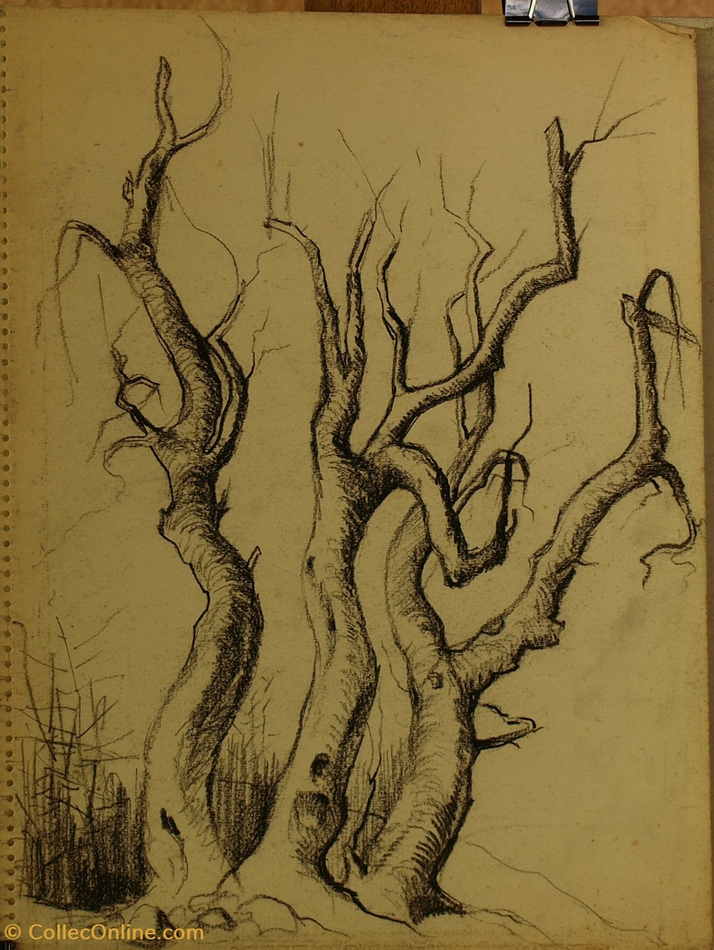 art antiquites peintures dessins trio arbres 1962