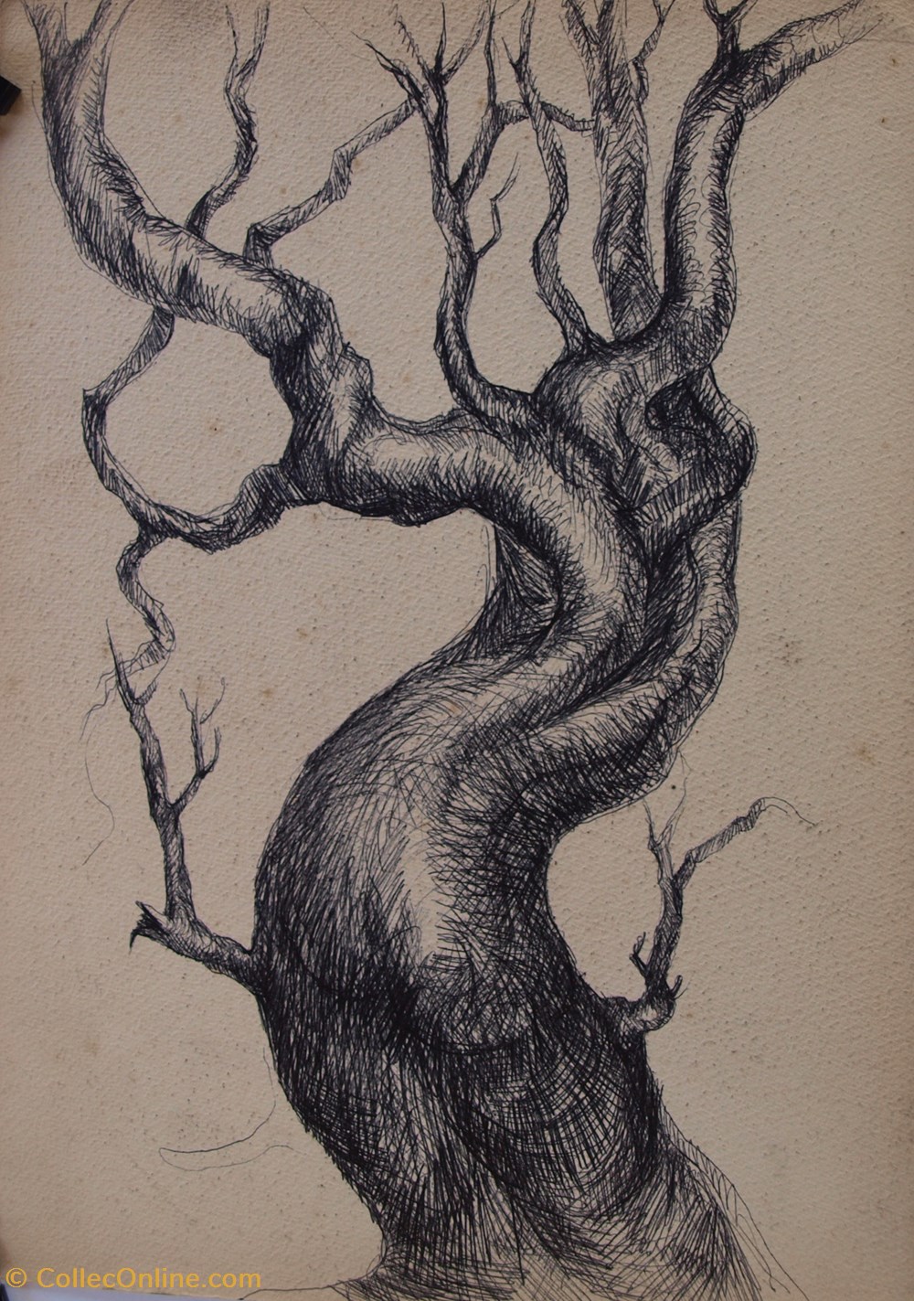art antiquites peintures dessins metamorphose