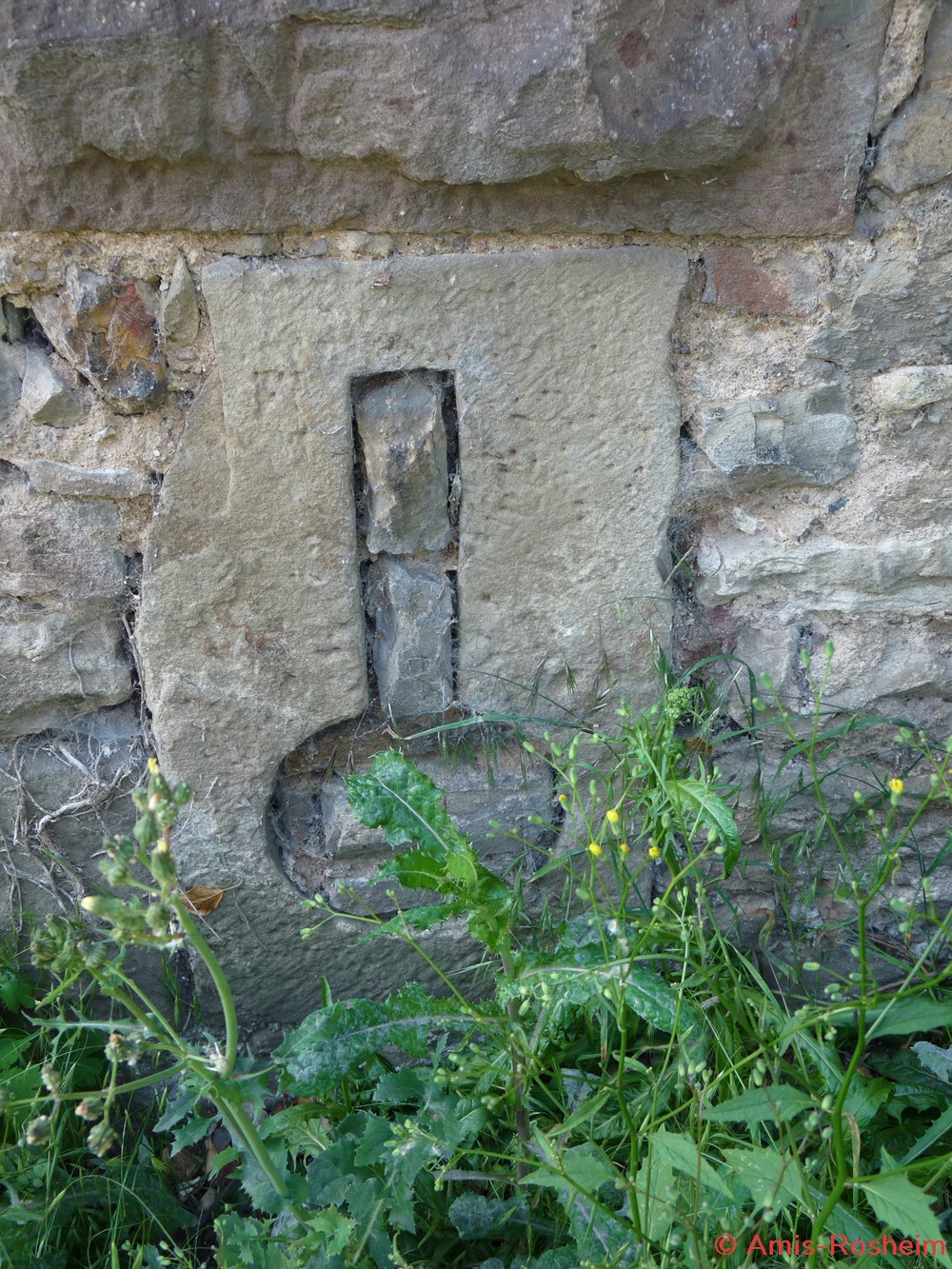 Enceinte extérieure (2/6) : les remparts côté Est 8 divers enceinte exterieure 2 6 les remparts cote est