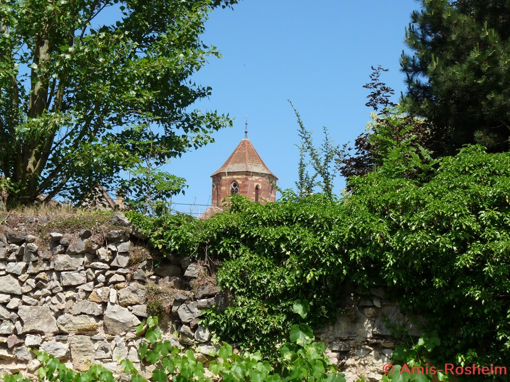 Enceinte extérieure (3/6) : les remparts côté Sud 3 divers enceinte exterieure 3 6 les remparts cote sud