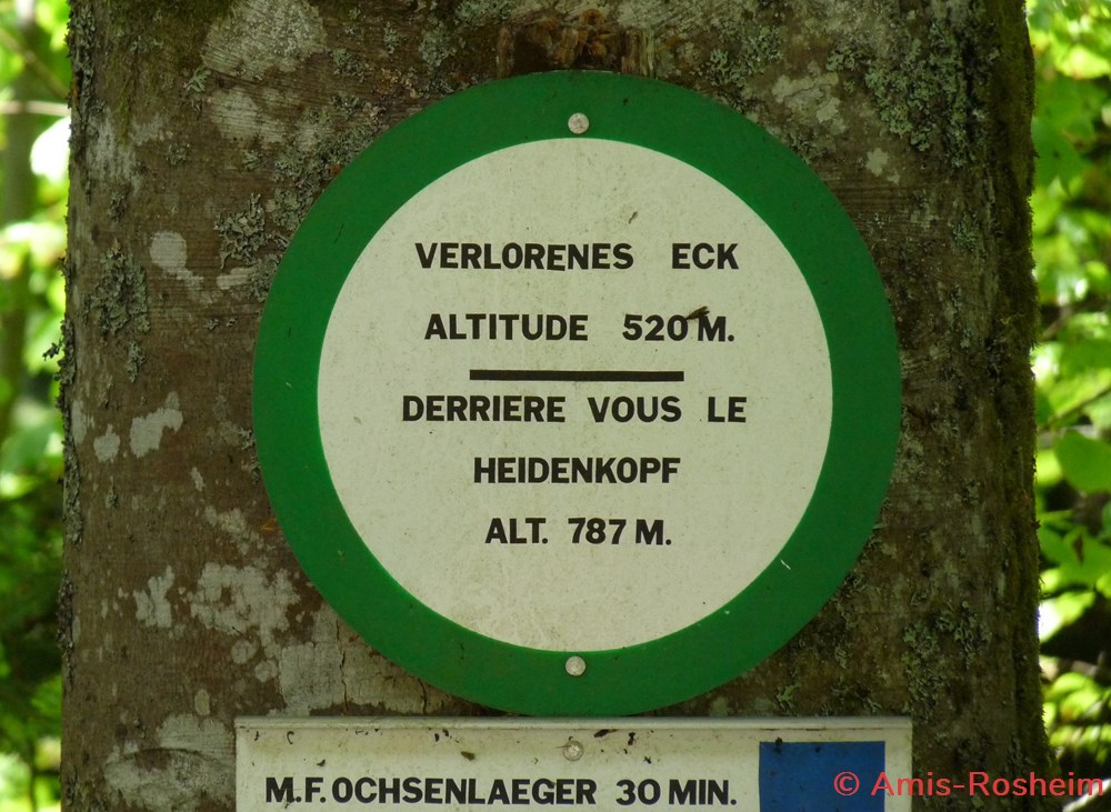 divers la foret de rosheim vers le heidenkopf