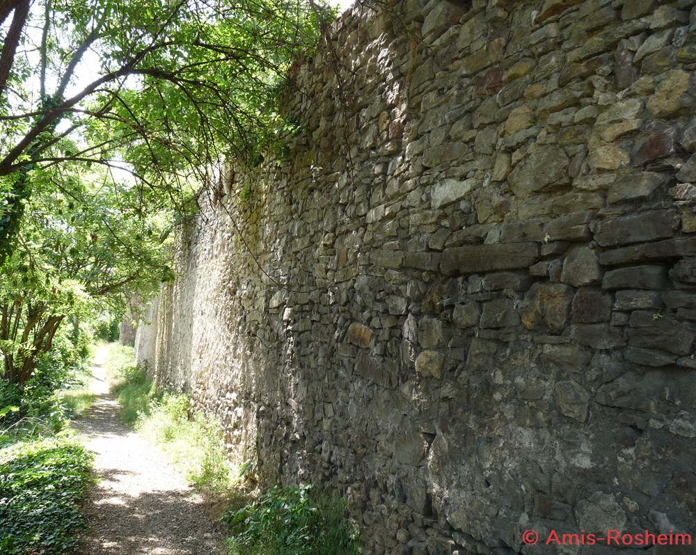 Enceinte extérieure (2/6) : les remparts côté Est 5 divers enceinte exterieure 2 6 les remparts cote est