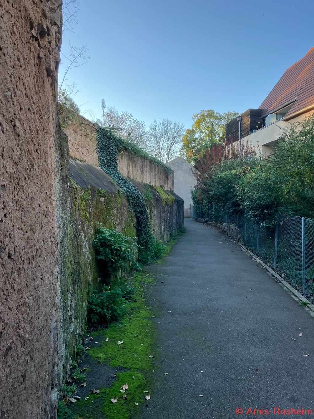 Rue du Général Bosch 8 divers rue du general bosch