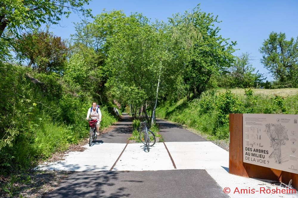 divers de la nebenbahn a la voie verte