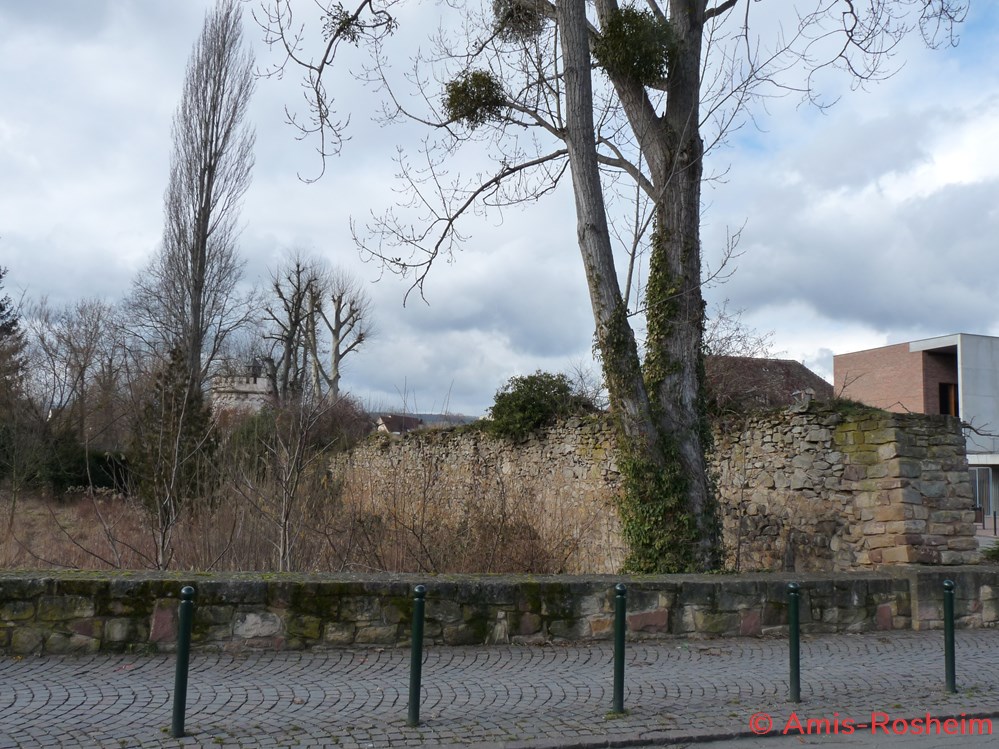 Enceinte extérieure (3/6) : les remparts côté Sud 6 divers enceinte exterieure 3 6 les remparts cote sud