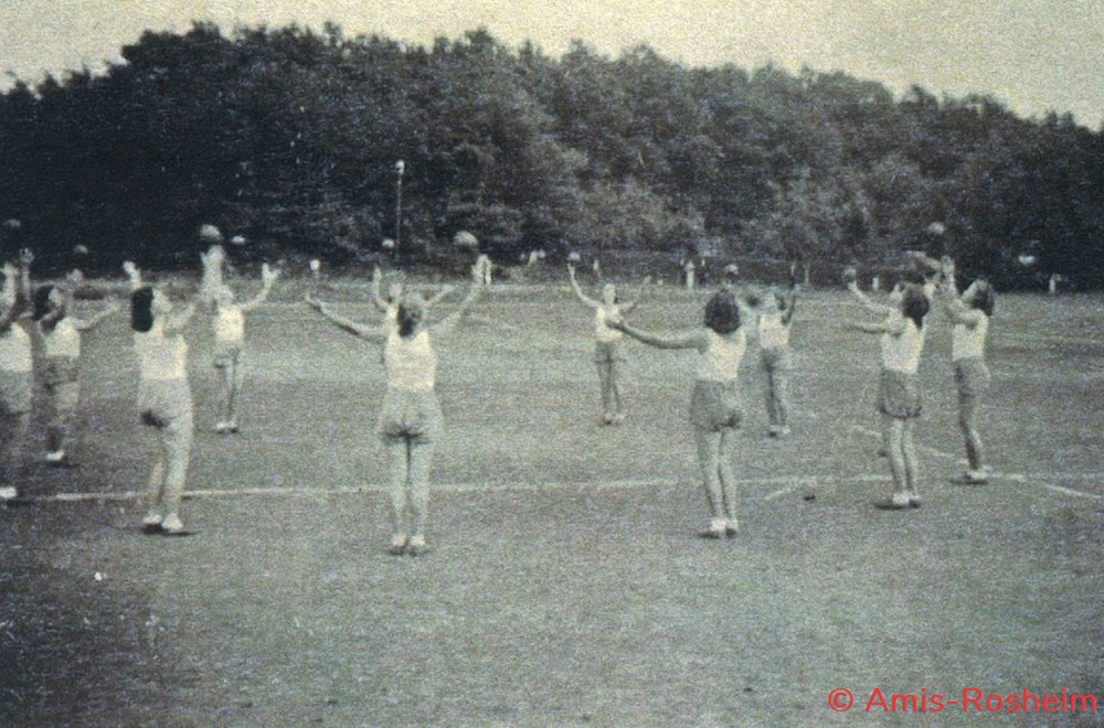 Les incorporées 5 divers les incorporees