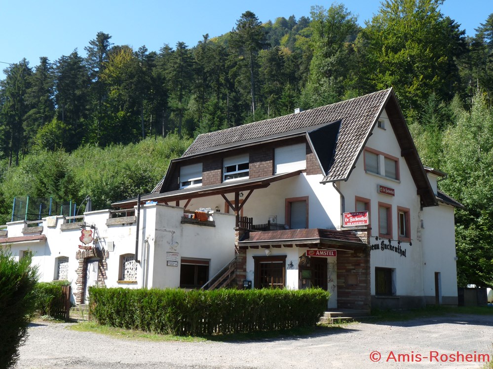 La forêt de Rosheim : vers la Fischhütte divers la foret de rosheim vers la fischhutte