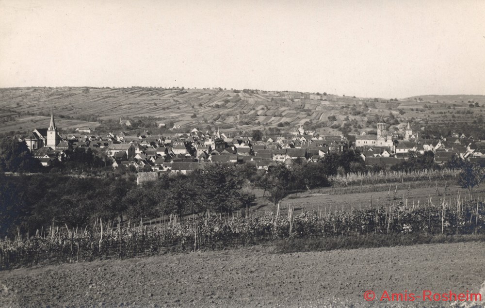 La viticulture 7 divers la viticulture